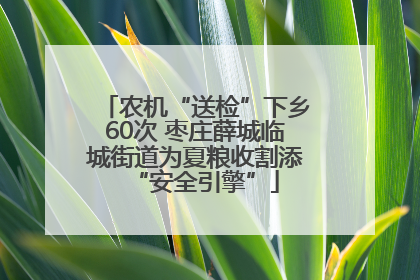 农机“送检”下乡60次 枣庄薛城临城街道为夏粮收割添“安全引擎”